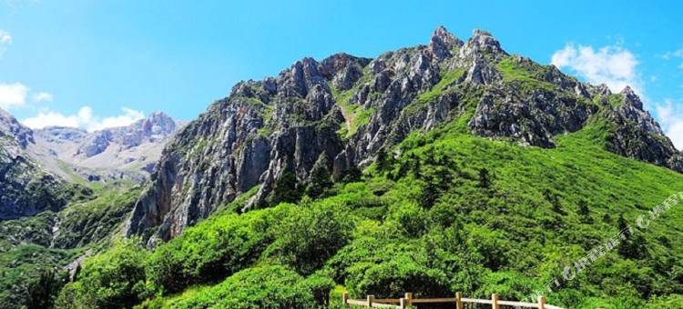 宕昌山水农家乐(官鹅沟店)图片