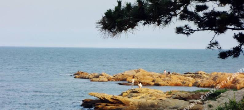 日照顺风渔家图片