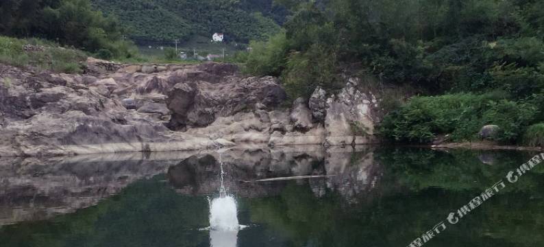 安吉竹家小婷婷农家乐图片