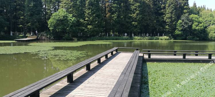 新韭香楼酒店(江阴黄山湖公园店)图片