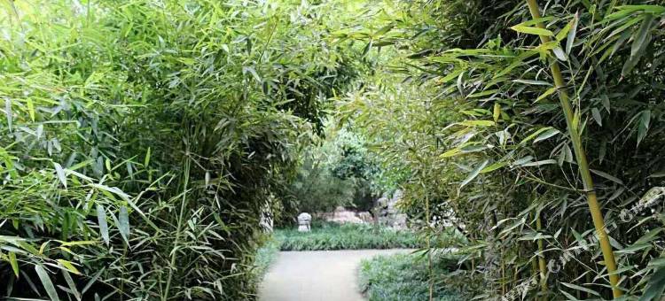 竹风堂庭院温泉酒店(礼泉袁家村店)图片