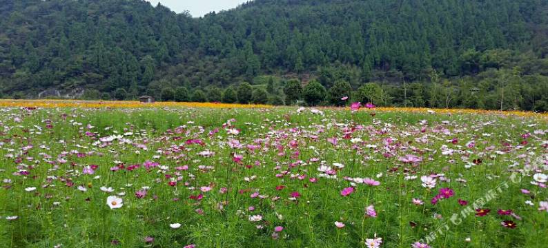 杭州红缘·山意民宿图片