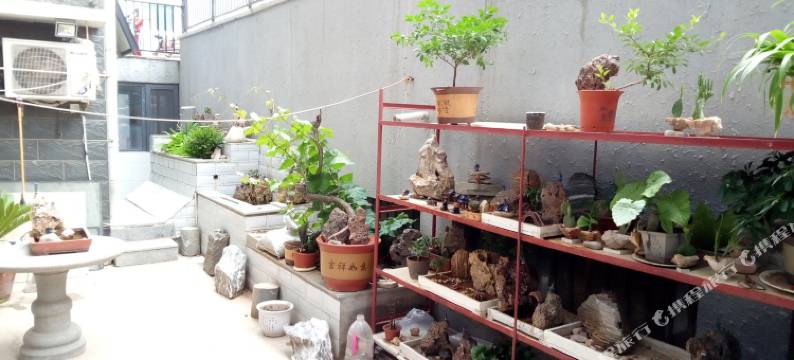 蓬莱仙境之家家庭公寓图片