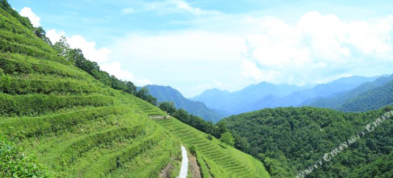 神农架阿尔卡迪亚森林酒店图片