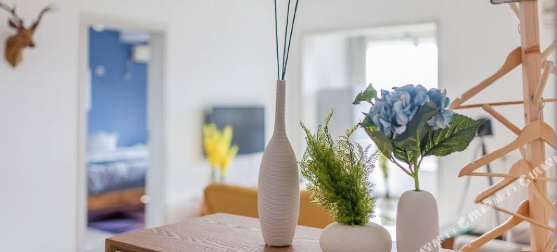 长安美居公寓(西安3号店)图片