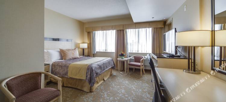蒙地卡罗及套房市中心万锦酒店(Monte Carlo Inn & Suites Downtown Markham)图片