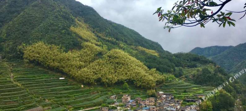 松阳青山云雨客栈图片