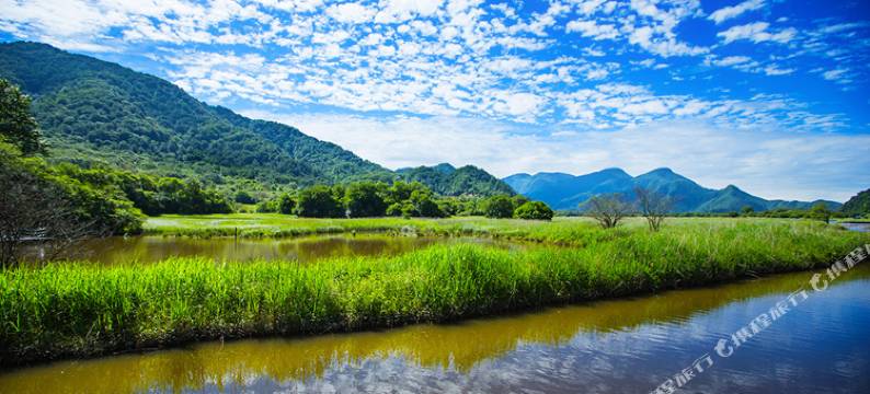 神农架过云山居客栈(大九湖坪阡古镇店)图片
