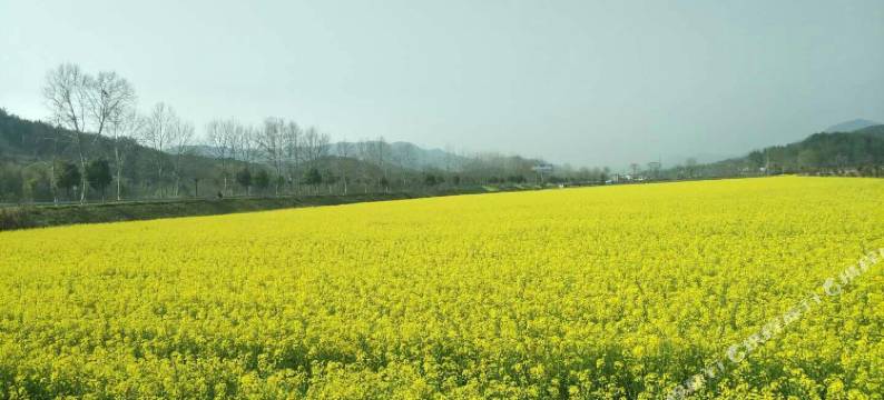 罗田印象红叶山庄图片