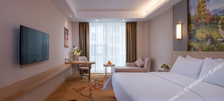 维也纳国际酒店(新兴新城市广场店)图片