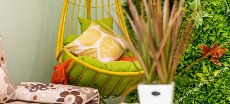 广州小星星的家普通公寓图片