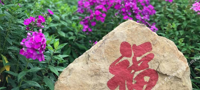 滦县佳庭民宿图片