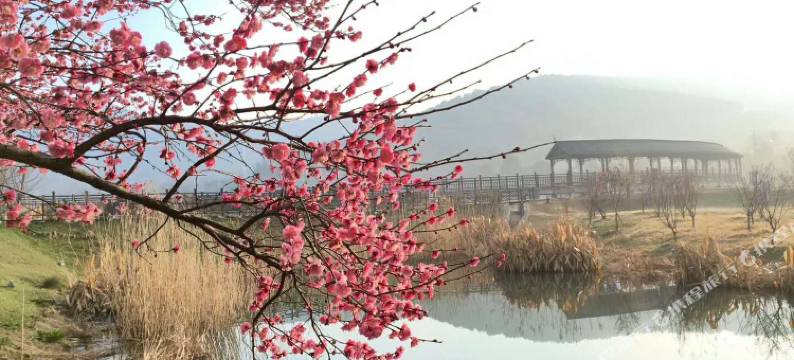 南京石塘田园e站竹卿舍田园民宿图片