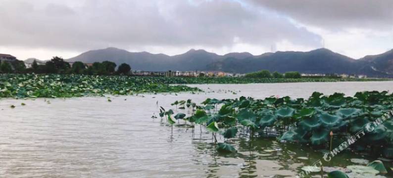 三门月中彦民宿图片