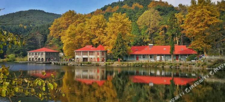 庐山金梦缘客栈(牯岭街心公园店)图片