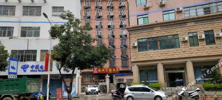 那坡格林主题酒店图片