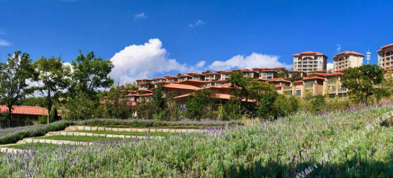 抚仙湖仙湖时光度假屋图片