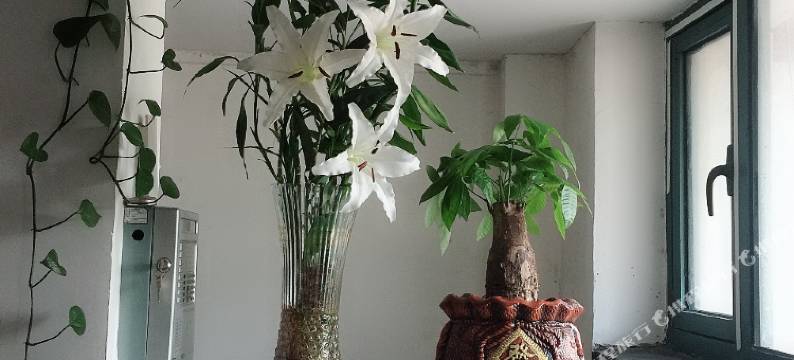 大连众缘旅店图片