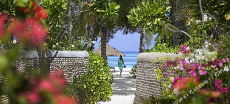 马尔代夫库达胡拉四季酒店(Four Seasons Resort Maldives at Kuda Huraa)图片