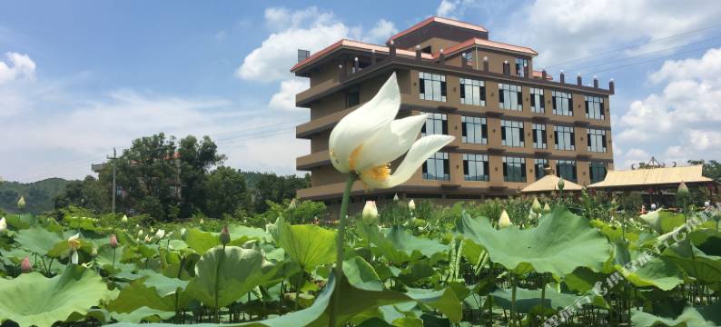 韶关古泉温泉酒店图片