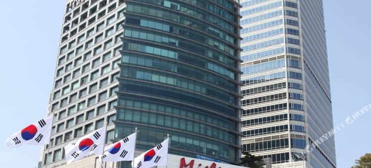 美利来酒店-首尔(Hotel Migliore Seoul)图片