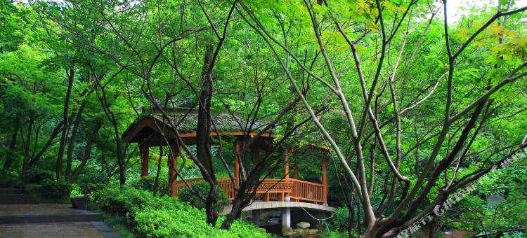 杭州吉驿森林酒店(省肿瘤医院店)图片