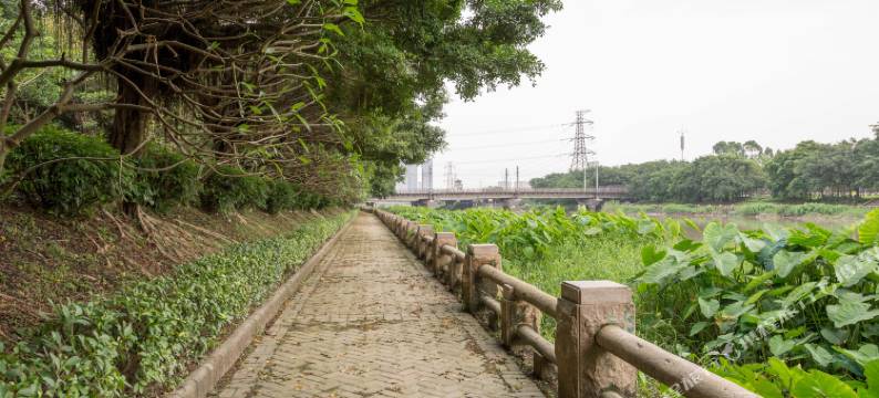 广州汇银时尚酒店(琶洲会展磨碟沙地铁站店)图片