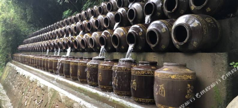 朗丽兹酒店(泸州江阳店)图片