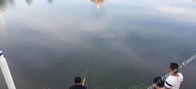 乐亭隐庐村舍民宿图片