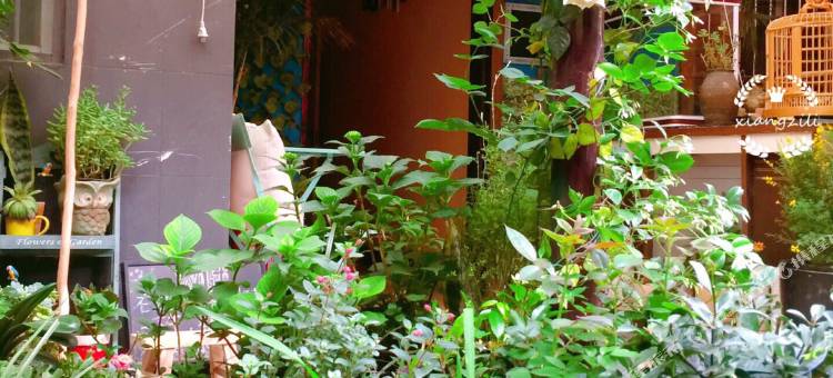 京山巷子里民宿图片