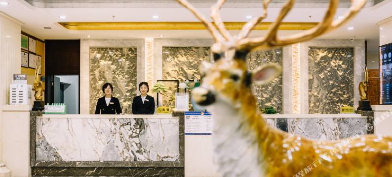 拉萨远丰河北饭店(布达拉宫店)图片