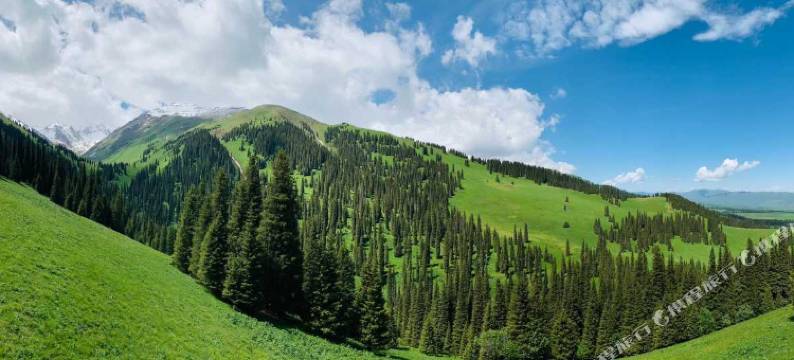 那拉提芳草园民宿图片