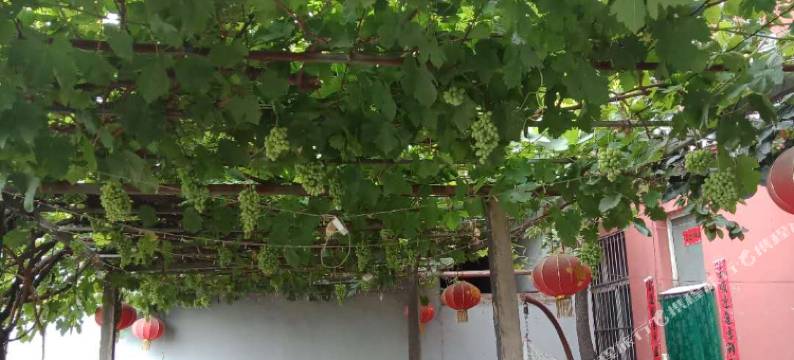 襄汾红通宾馆图片