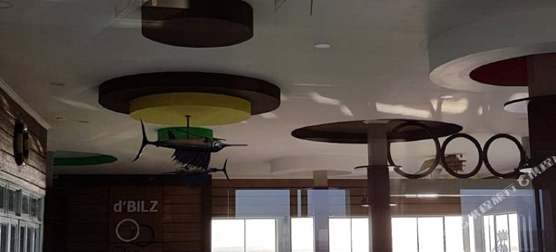 迪比尔兹酒店(D'Bilz Hotel)图片