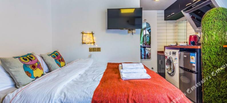 上海阿大雪特色民宿图片