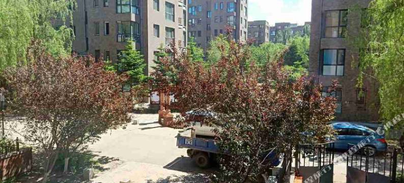 舒心旅店(哈尔滨柏林四季店)图片