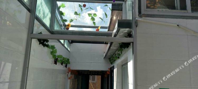 塞罕坝绿海之家农家院图片