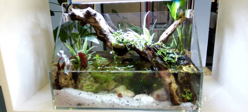 西安是涂涂吖公寓(3号店)图片