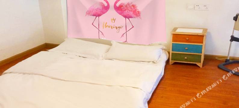 成都逸嘉民宿(红光大道分店)图片