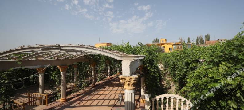 吐鲁番箜篌小院·宿夏民宿图片