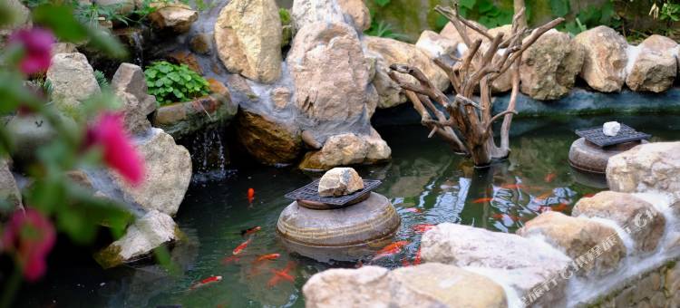 天台月园民宿图片
