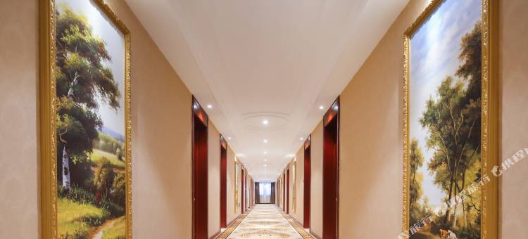 维也纳酒店(金寨店)图片