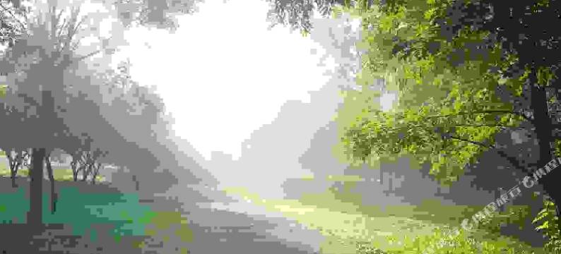 北京园中苑民宿图片