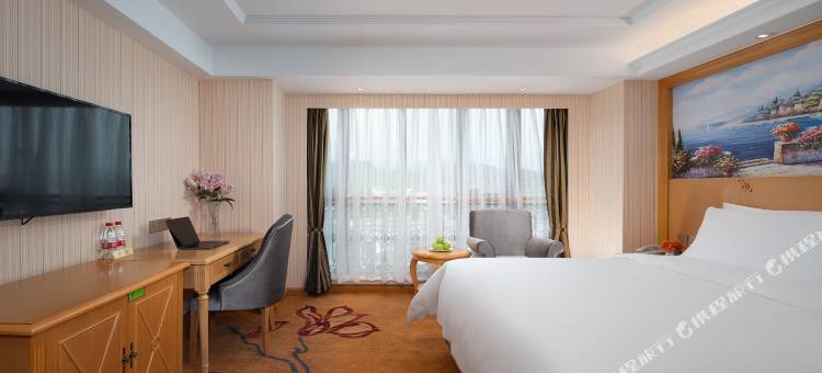 维也纳酒店(峨眉山高铁站马路桥美食街店)图片