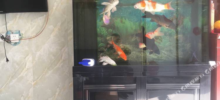 顺鑫旅馆(大连大连湾店)图片