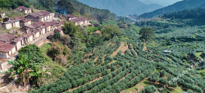 新兴景源别墅图片