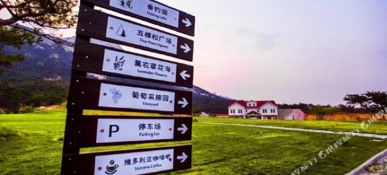 日照莓美哒庄园民宿图片