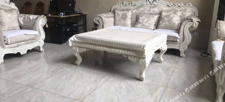 广州别墅轰趴陈桂鑫别墅(财富一街分店)图片