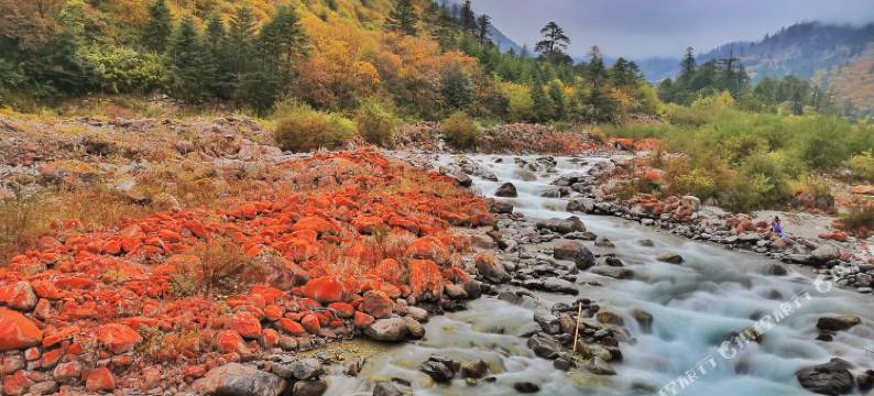 海螺沟有柿无事别院图片