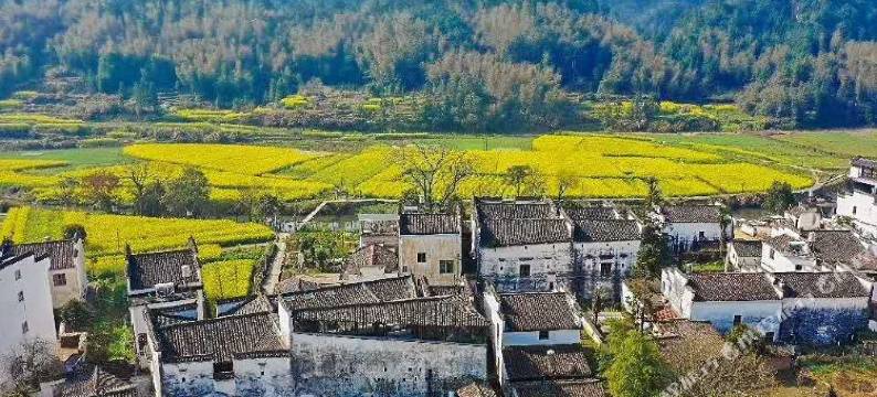 德兴青山泉大酒店图片